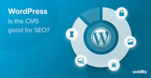 what is wordpress seo